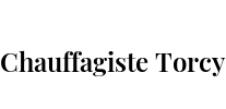 Chauffagiste Torcy